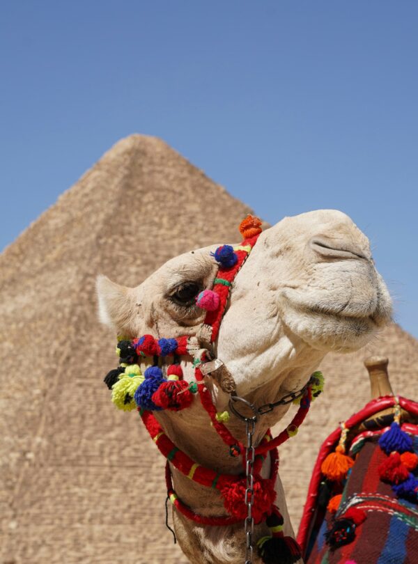 ocdr-Hi5eMsHtjM4-unsplash