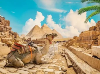 Egypt travel packages
